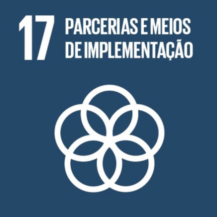 ODS 17: Parcerias e Meios de Implementação